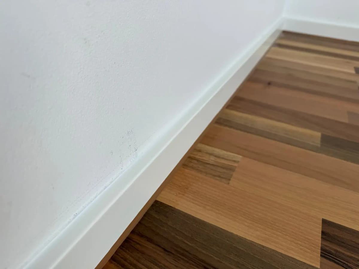 Parkett Walnuss rustikal geölt - Natürliche Holzmaserung und warme Töne